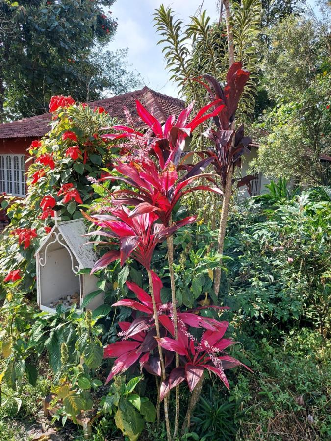 Robin Woods Homestay Sakleshpur Exteriér fotografie