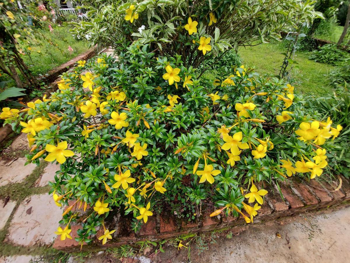 Robin Woods Homestay Sakleshpur Exteriér fotografie