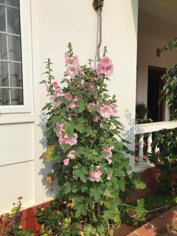 Robin Woods Homestay Sakleshpur Exteriér fotografie